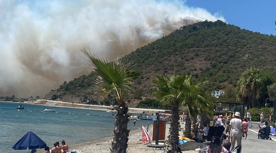 Balıkesir’in Gömeç ve Edremit ilçelerinde orman yangını! Validen açıklama