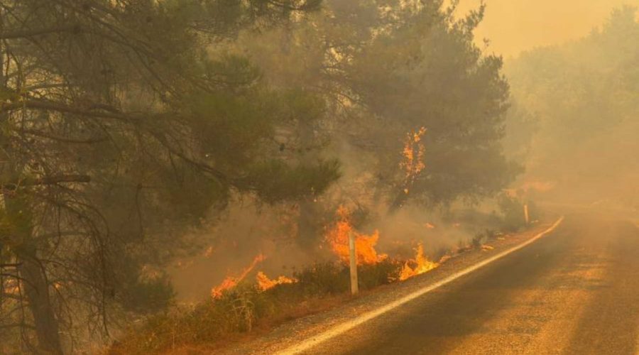 Gömeç’te başlayan yangın Ayvalık’a sıçradı