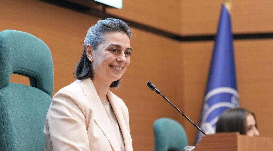 Sinem Dedetaş için tutuklandı