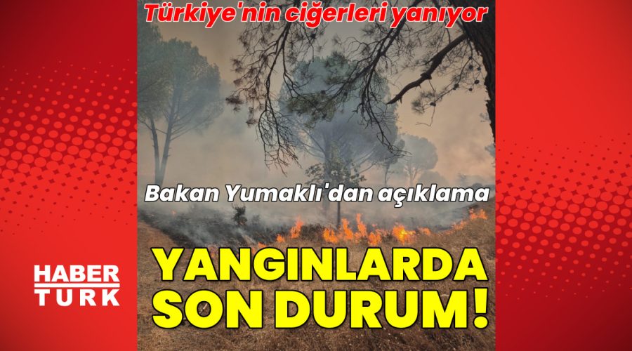 Türkiye orman yangınlarıyla mücadele ediyor!