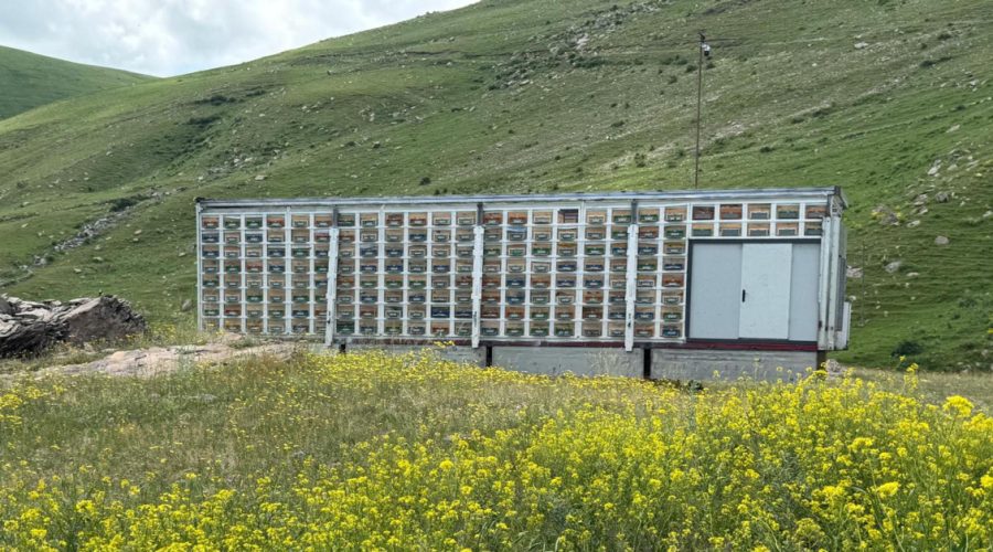 TIR dorsesinden sıra dışı dönüşüm!