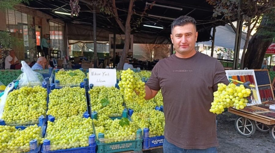 Bağlardan Taze Toplandı, Ayağının Tozuyla Tezgaha İndi! Niksar Yerli Üzümünde İlk Fiyat Belli Oldu